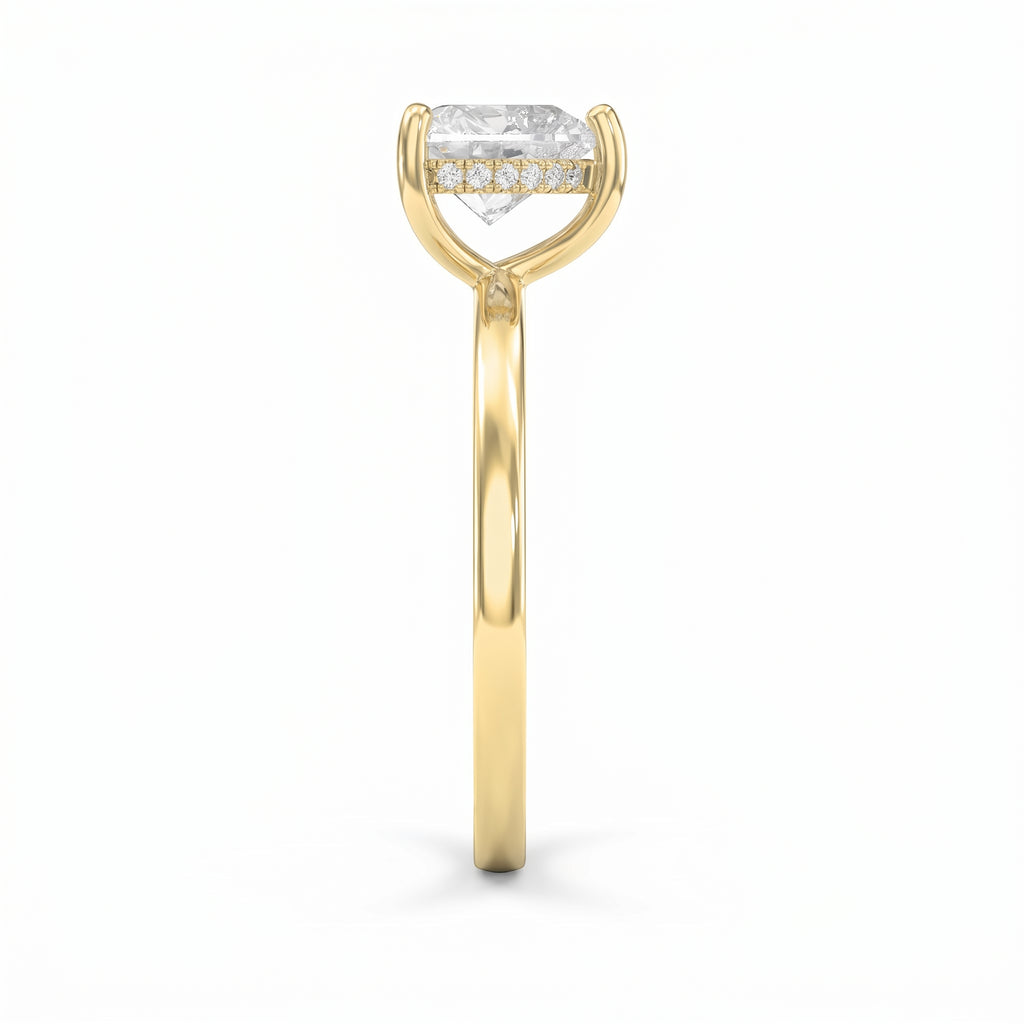 Amour Whisper Heart Hidden Halo Ring