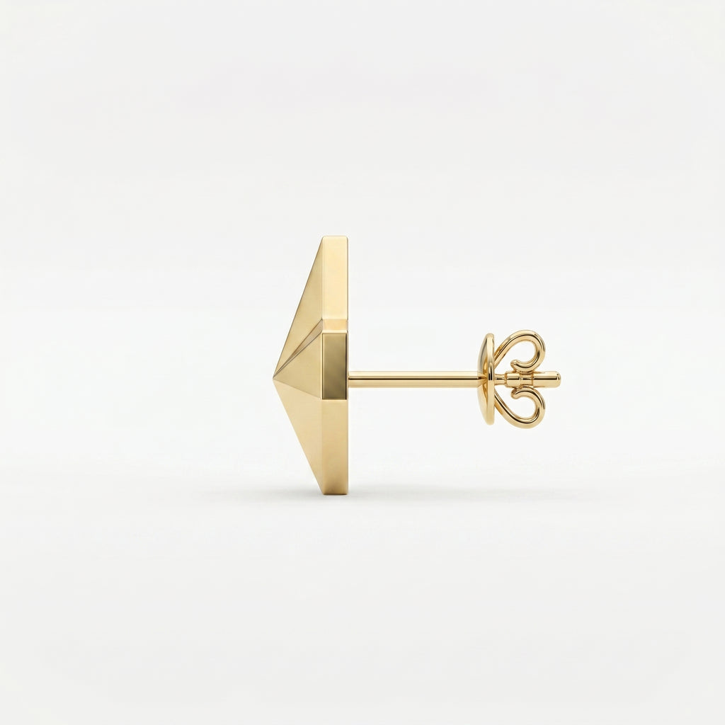Shine Bright with Star Emblem Fashion Earrings