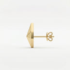 Shine Bright with Star Emblem Fashion Earrings
